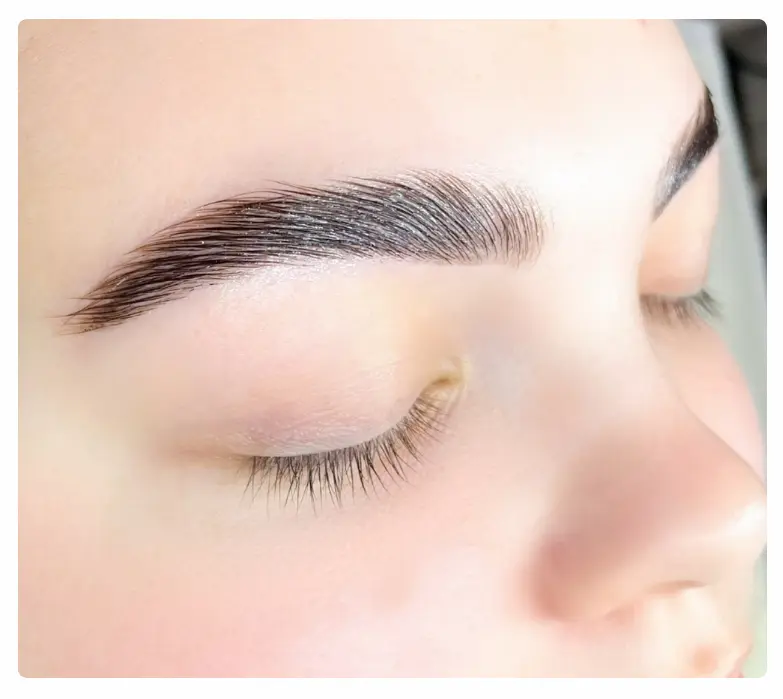 Eyebrow Lamination